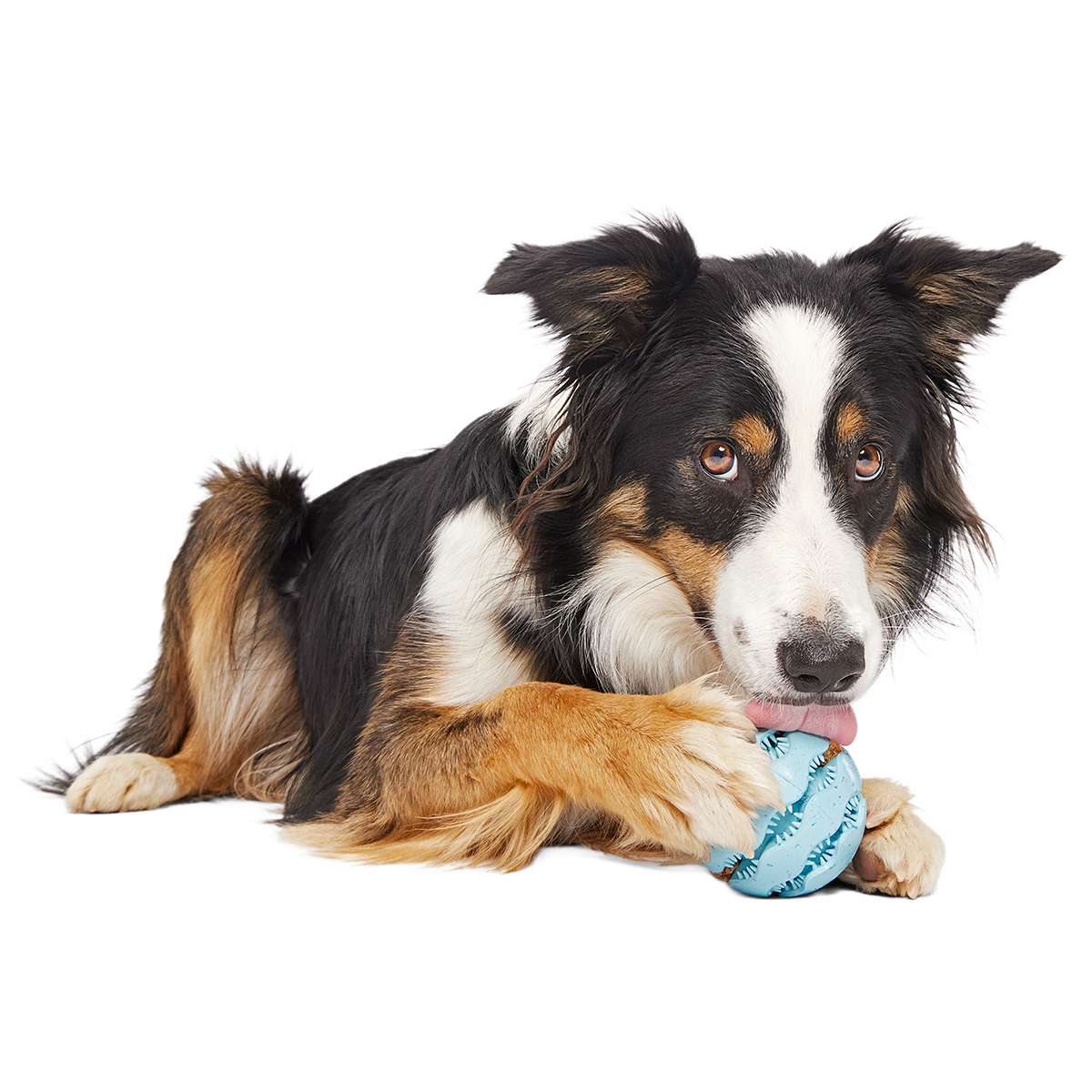 Treat-Dispensing Dog Toy product image 3