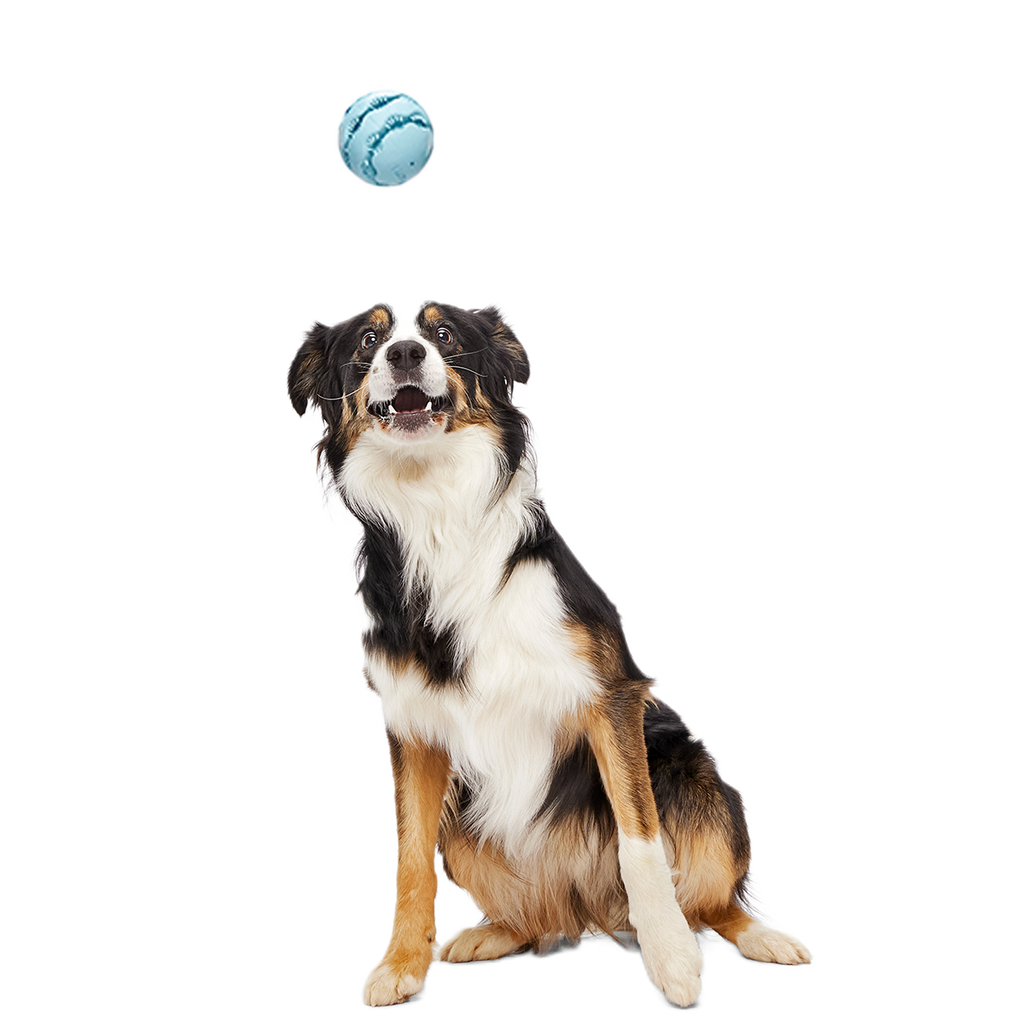 Treat-Dispensing Dog Toy product image 4