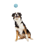 Treat-Dispensing Dog Toy product image 4