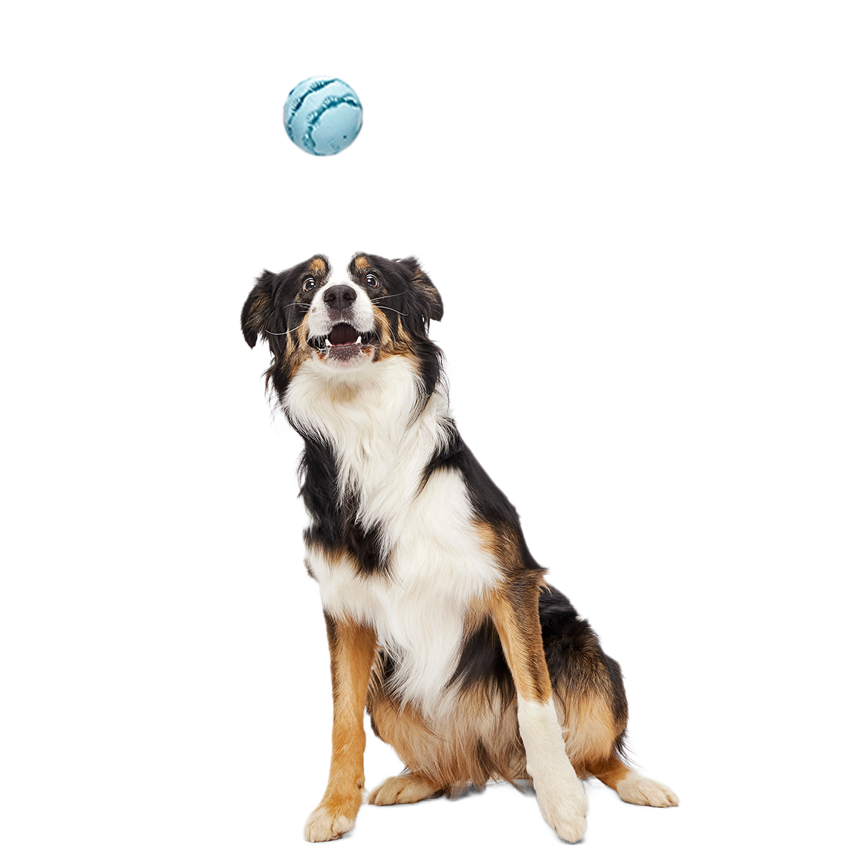 Treat-Dispensing Dog Toy product image 4