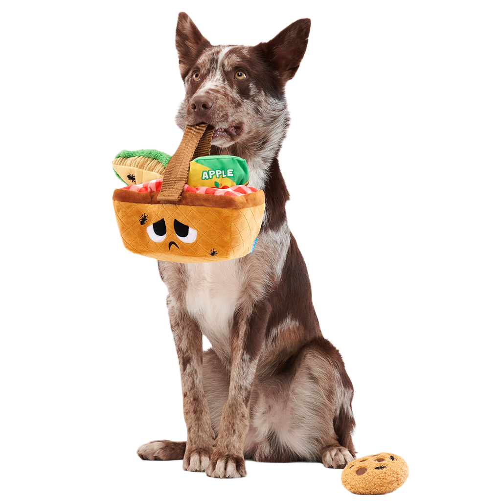 Picnic Basket Multi-Part Enrichment Dog Toy product image 3