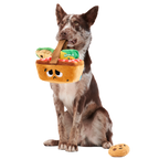 Picnic Basket Multi-Part Enrichment Dog Toy product image 3