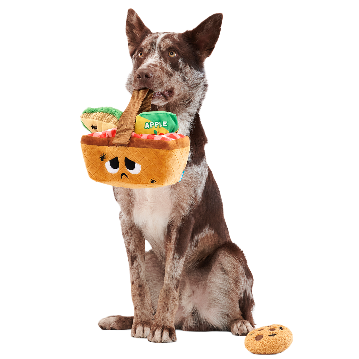 Picnic Basket Multi-Part Enrichment Dog Toy product image 3