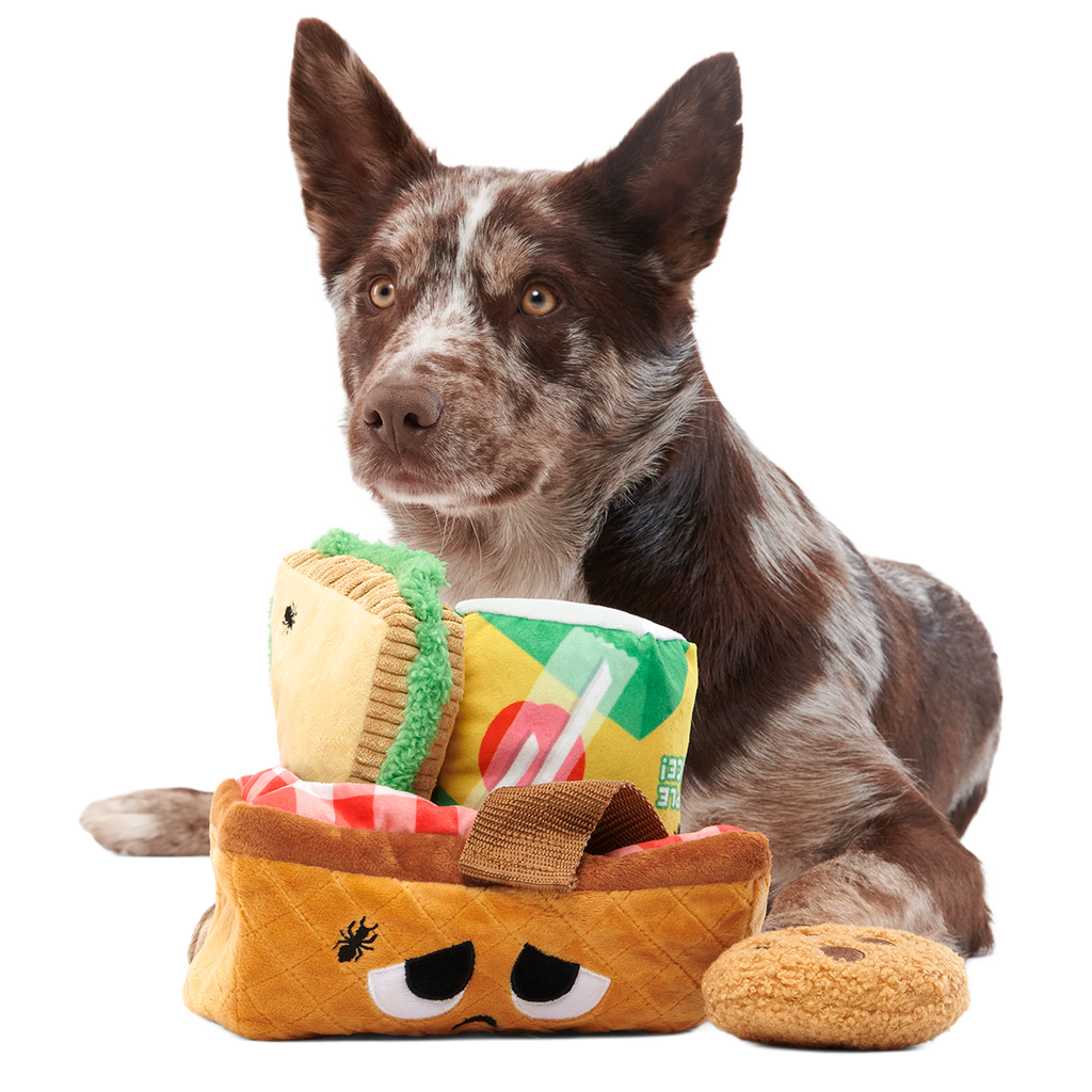 Picnic Basket Multi-Part Enrichment Dog Toy product image 4