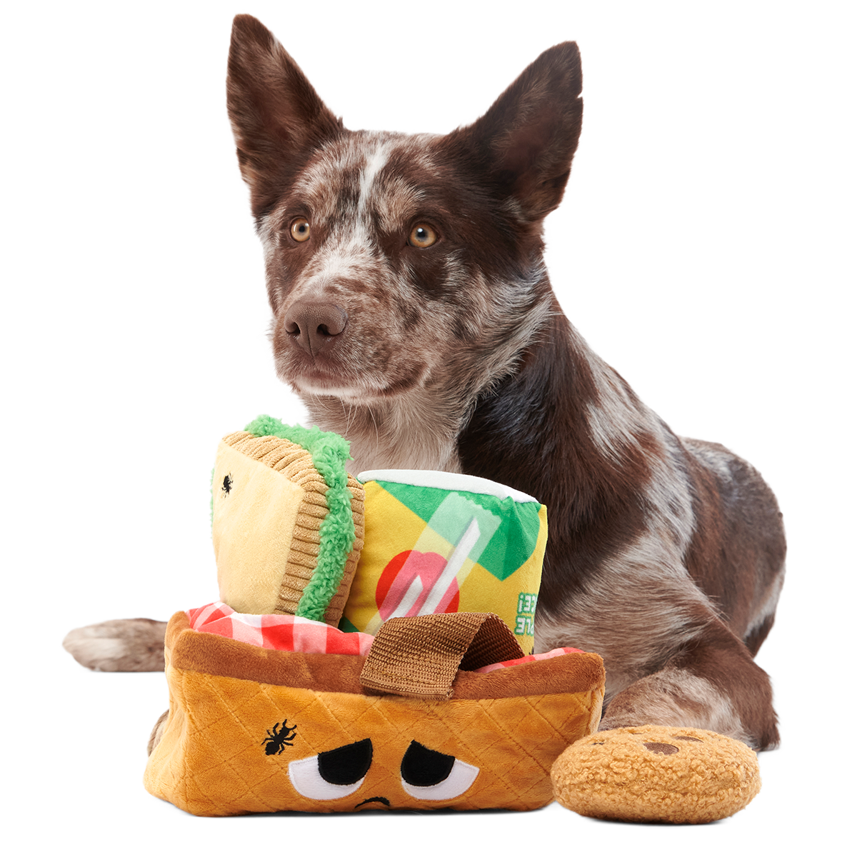 Picnic Basket Multi-Part Enrichment Dog Toy product image 4