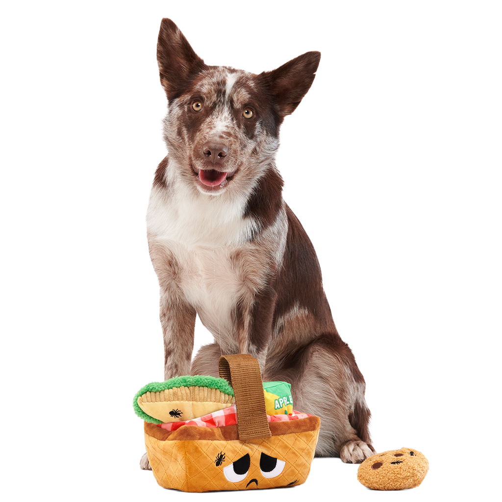 Picnic Basket Multi-Part Enrichment Dog Toy product image 5