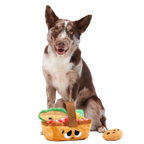 Picnic Basket Multi-Part Enrichment Dog Toy product image 5