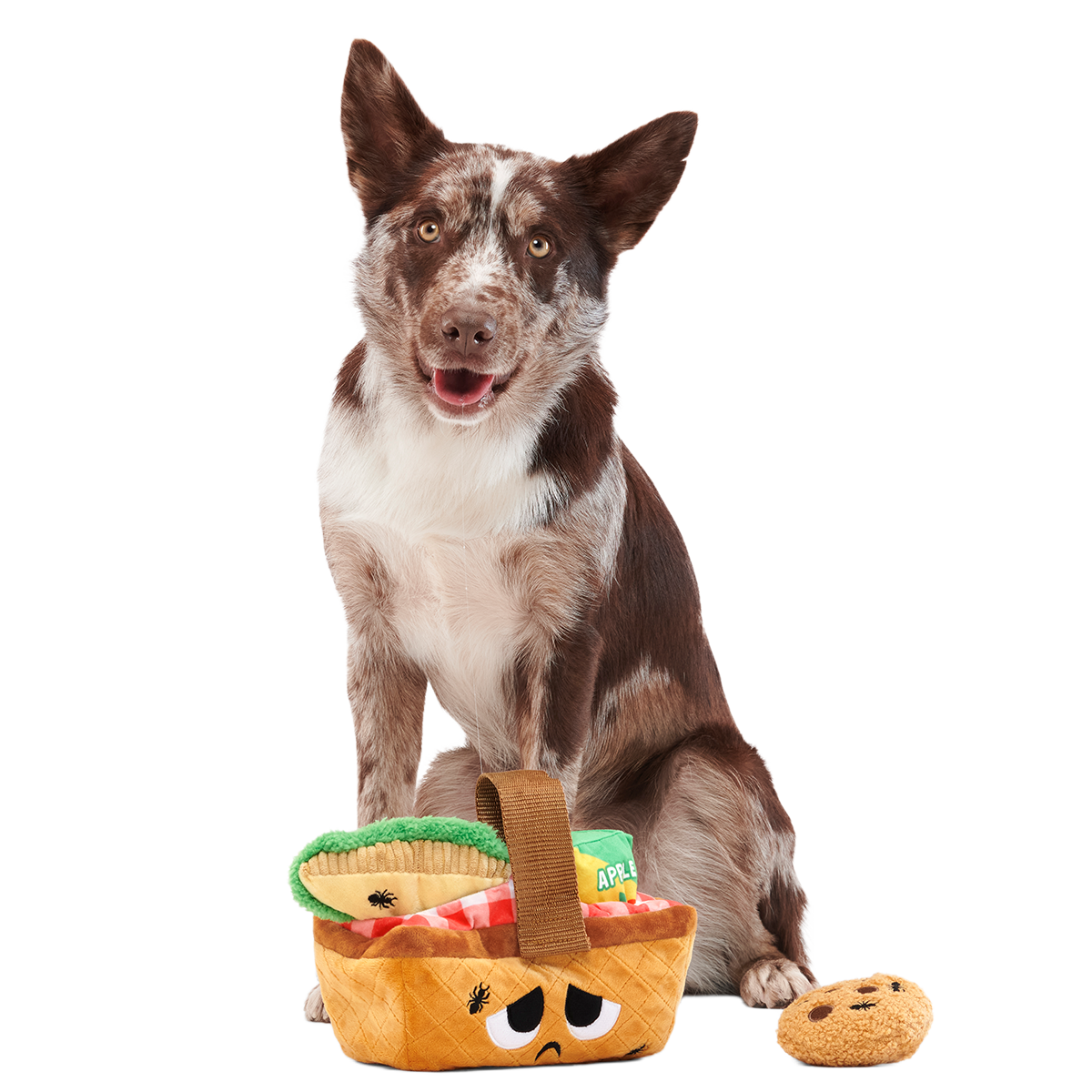 Picnic Basket Multi-Part Enrichment Dog Toy product image 5