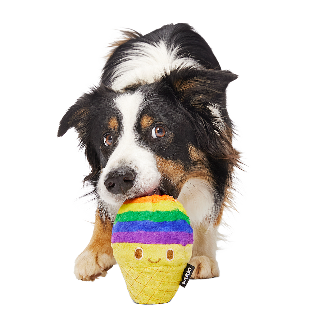 Dog Toy product image 2