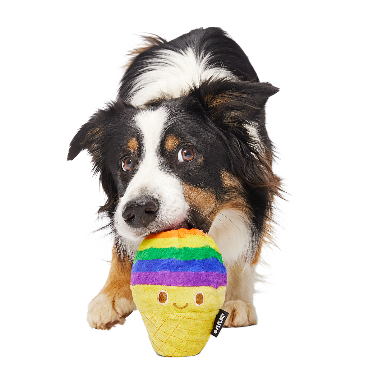Dog Toy product image 2