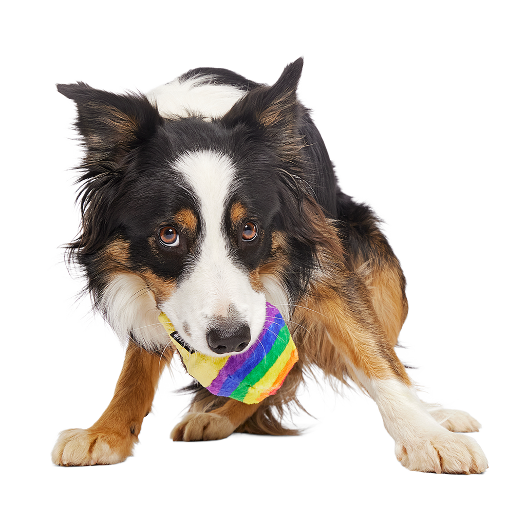 Dog Toy product image 3