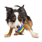 Dog Toy product image 3