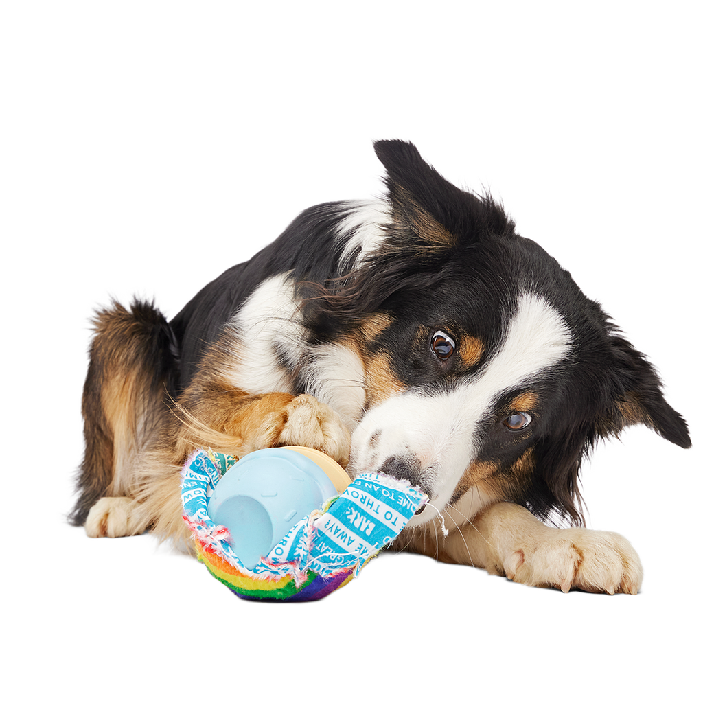 Dog Toy product image 4