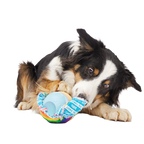 Dog Toy product image 4