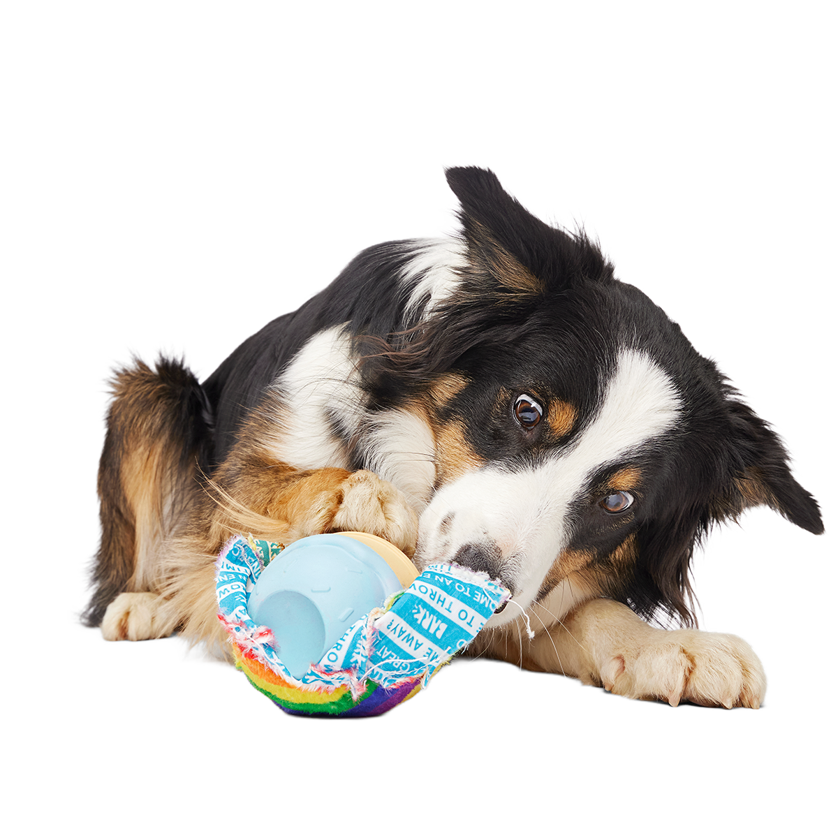 Dog Toy product image 4