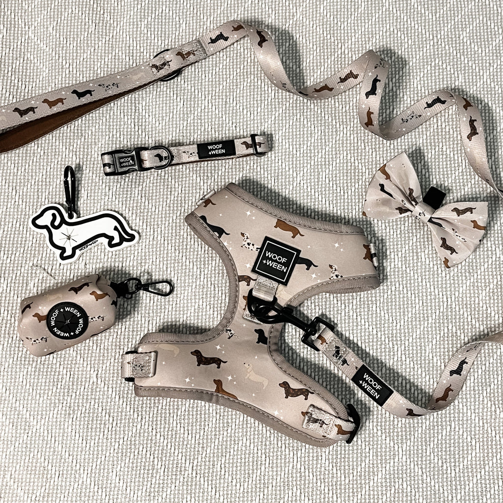 Dog Leash product image 4