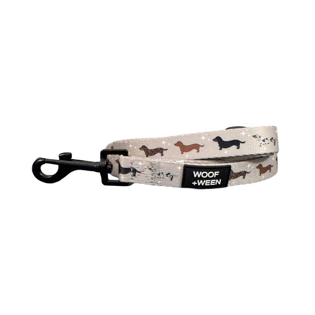 Dog Leash product image 6