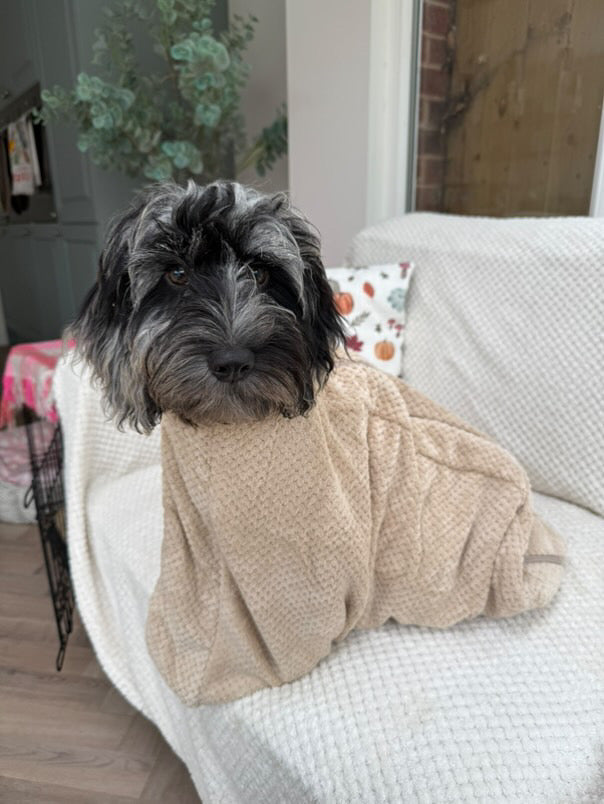 Dog Drying Bag product image 3