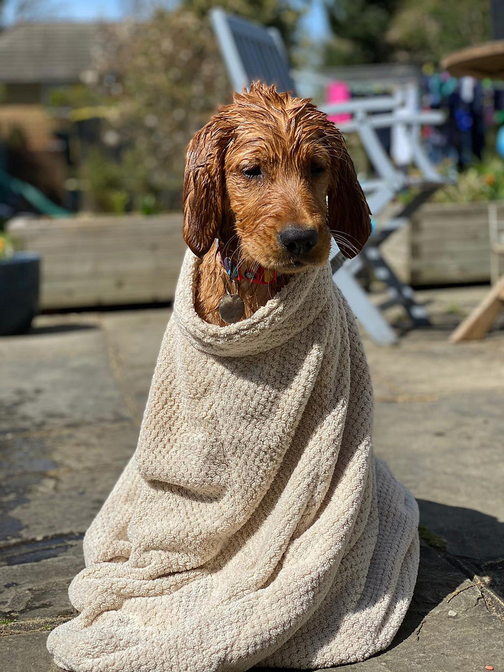 Dog Drying Bag product image 10