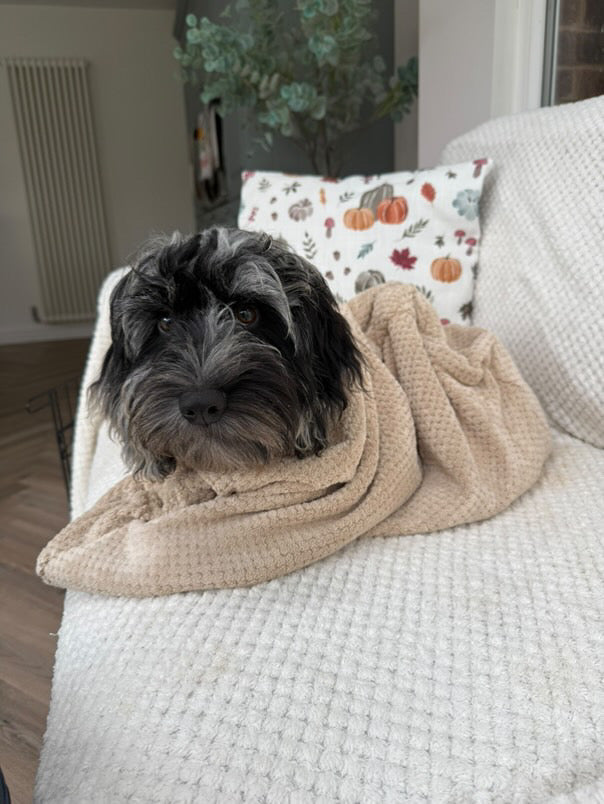 Dog Drying Bag product image 11