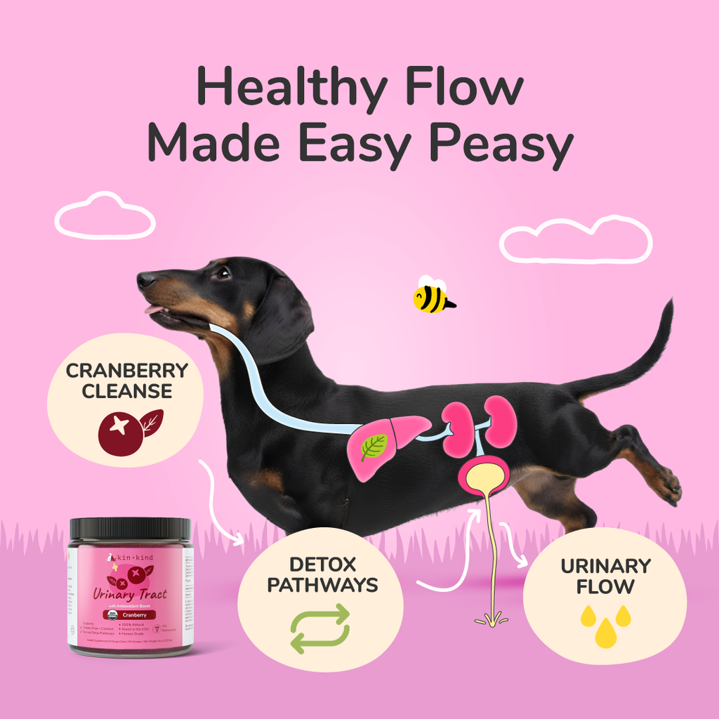Urinary Tract Supplement product image 2