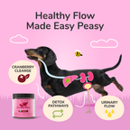 Urinary Tract Supplement product image 2