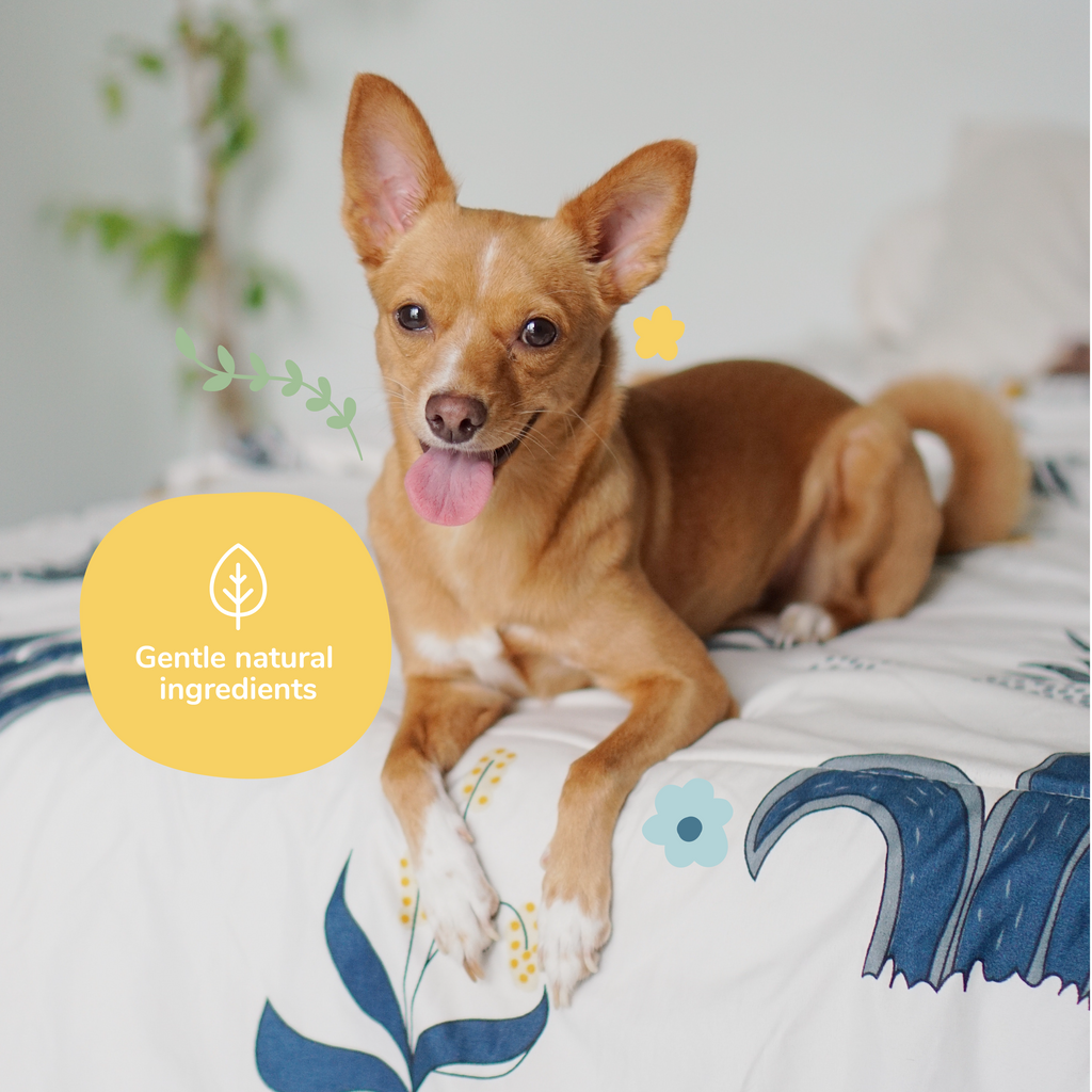 Dog Deodorizer Spray product image 6