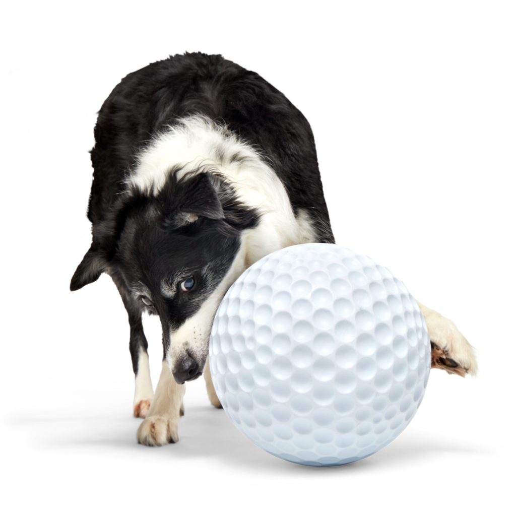 Dog Ball product image 1