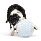 Dog Ball product image 1