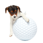 Dog Ball product image 3