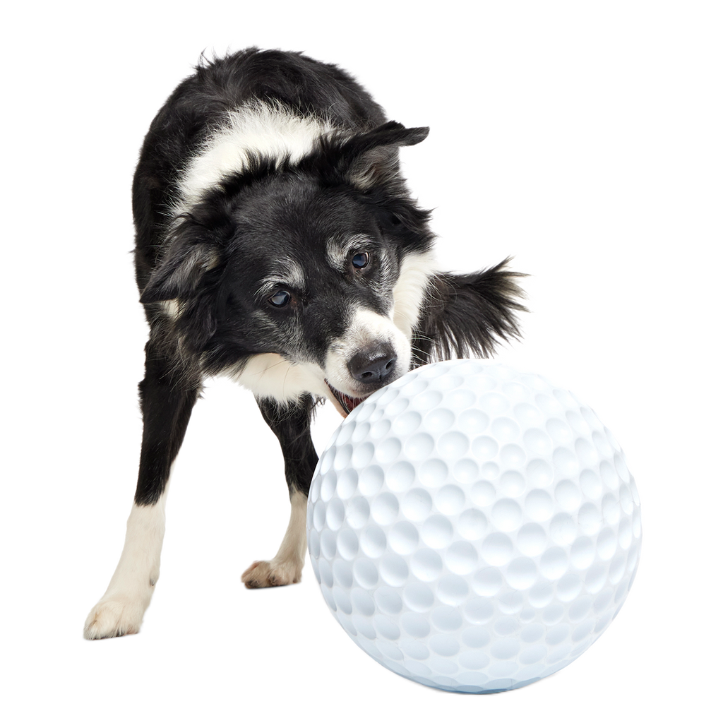Dog Ball product image 4