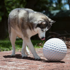 Dog Ball product image 5