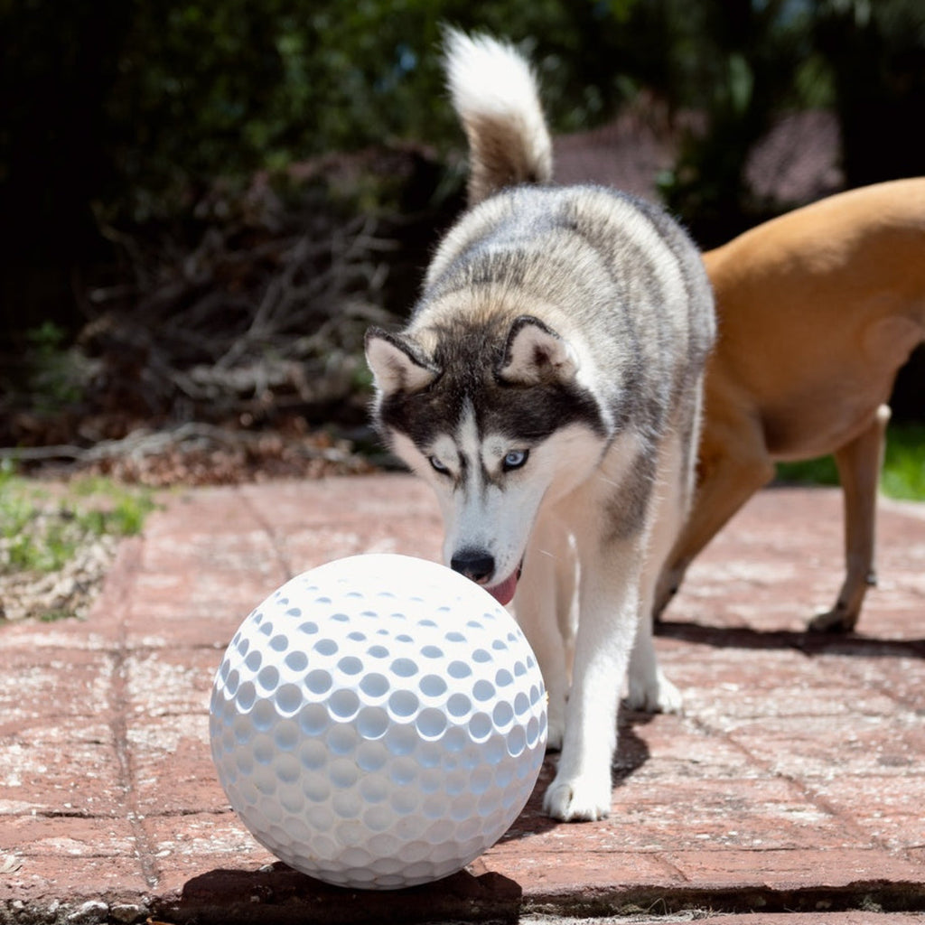 Dog Ball product image 6