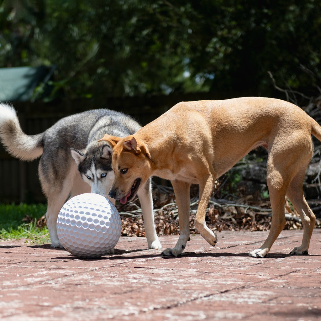 Dog Ball product image 7