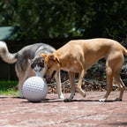 Dog Ball product image 7