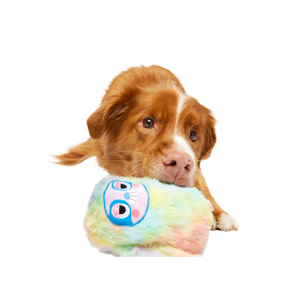 Durable Dog Toy product image 2