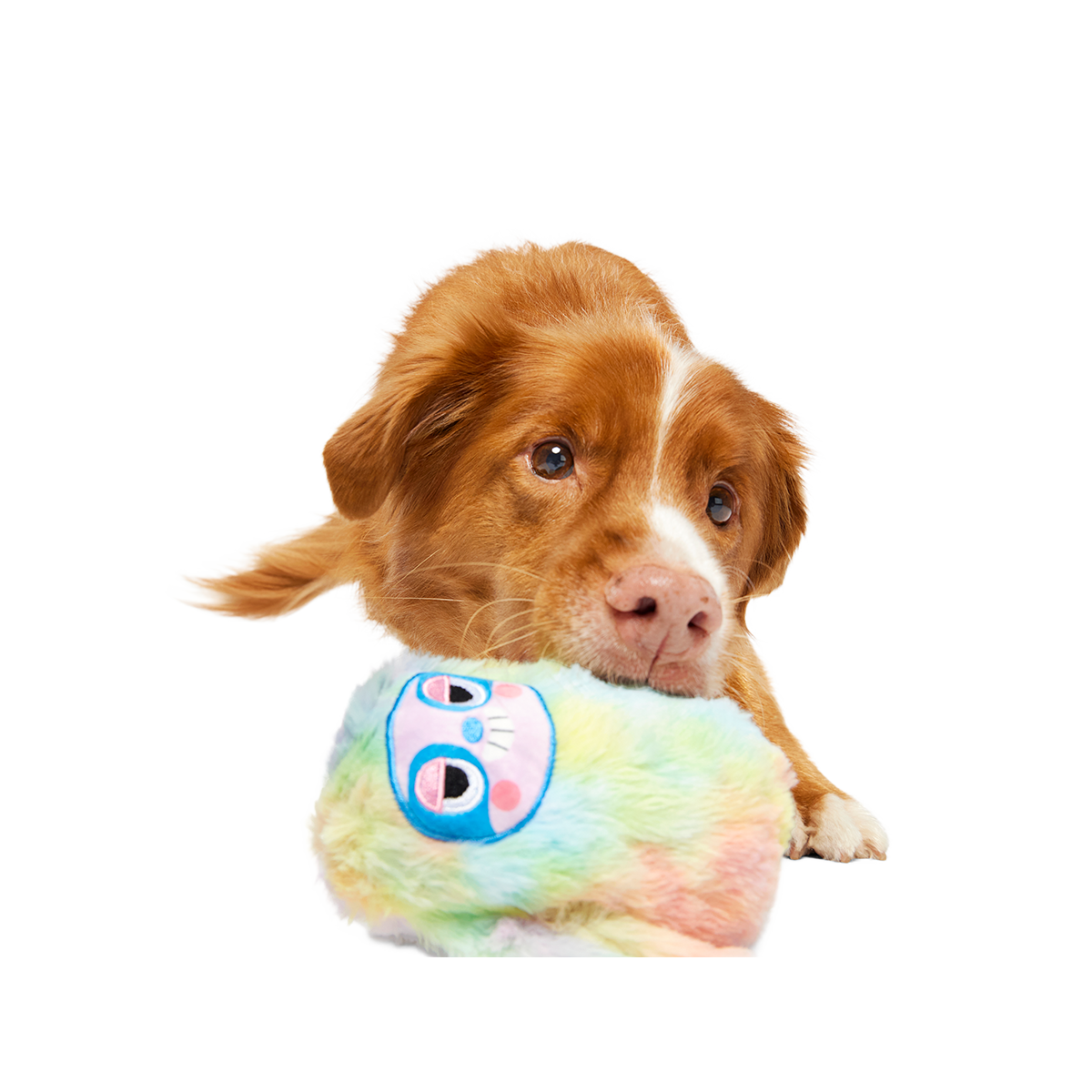 Durable Dog Toy product image 2