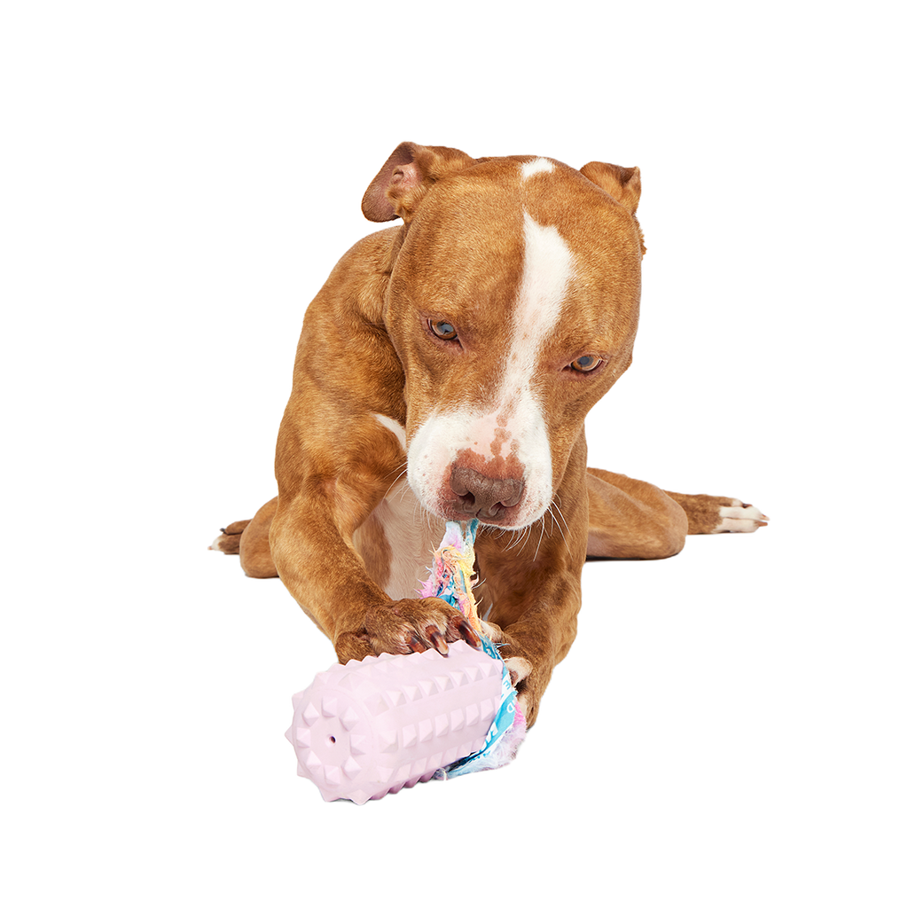 Durable Dog Toy product image 3