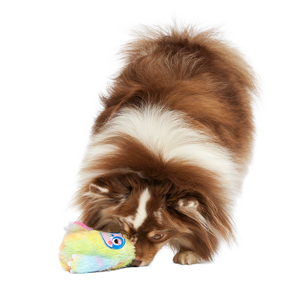 Durable Dog Toy product image 4