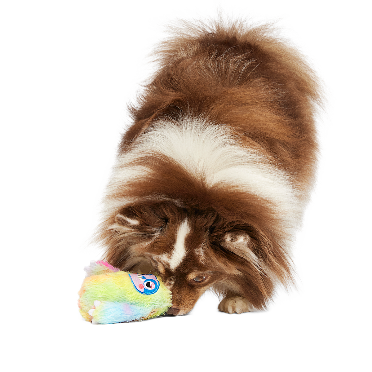 Durable Dog Toy product image 5