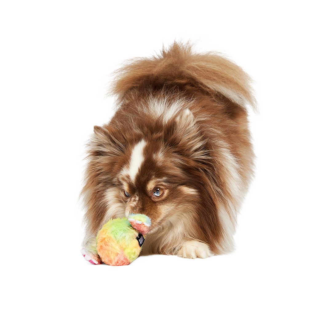 Durable Dog Toy product image 6