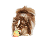 Durable Dog Toy product image 6