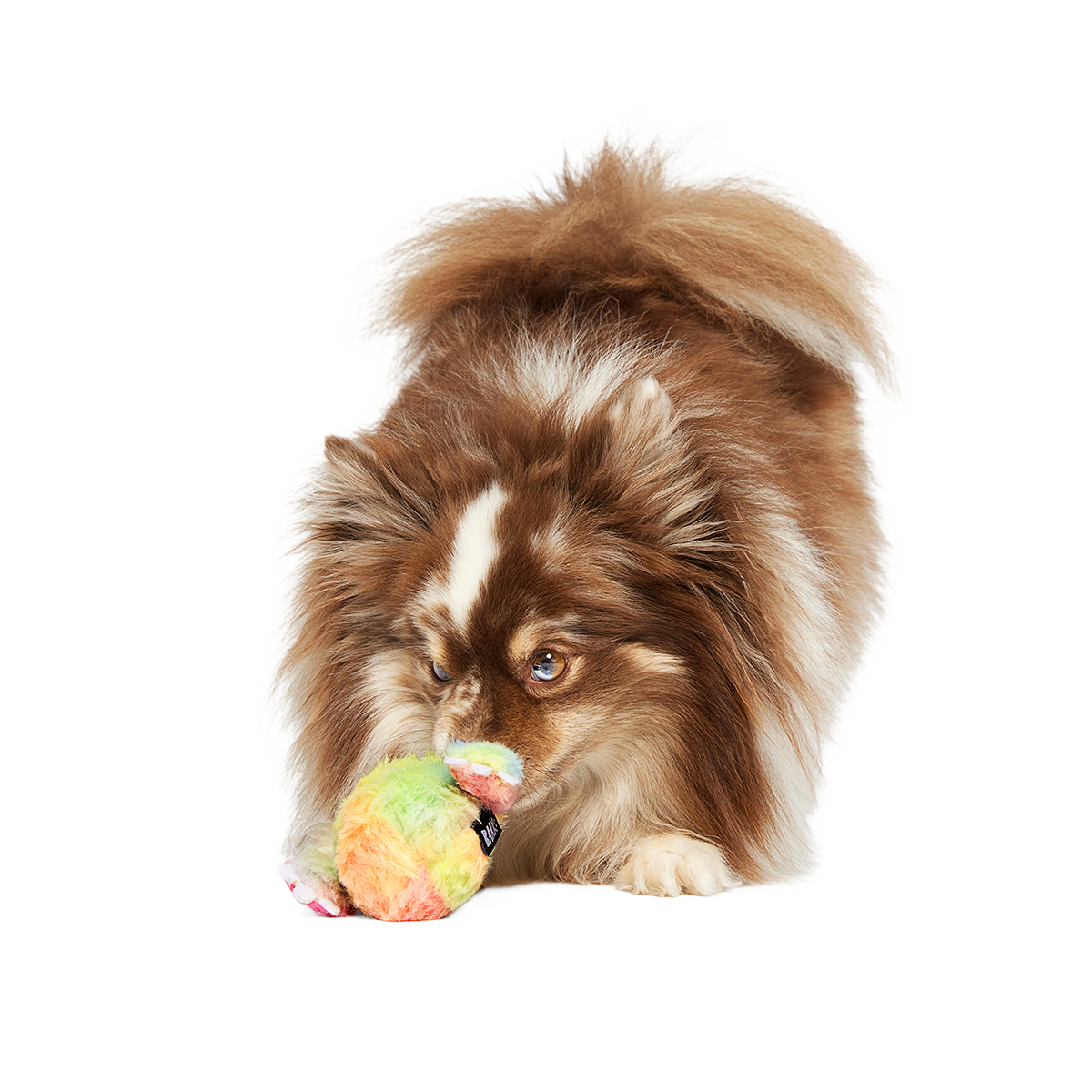 Durable Dog Toy product image 6
