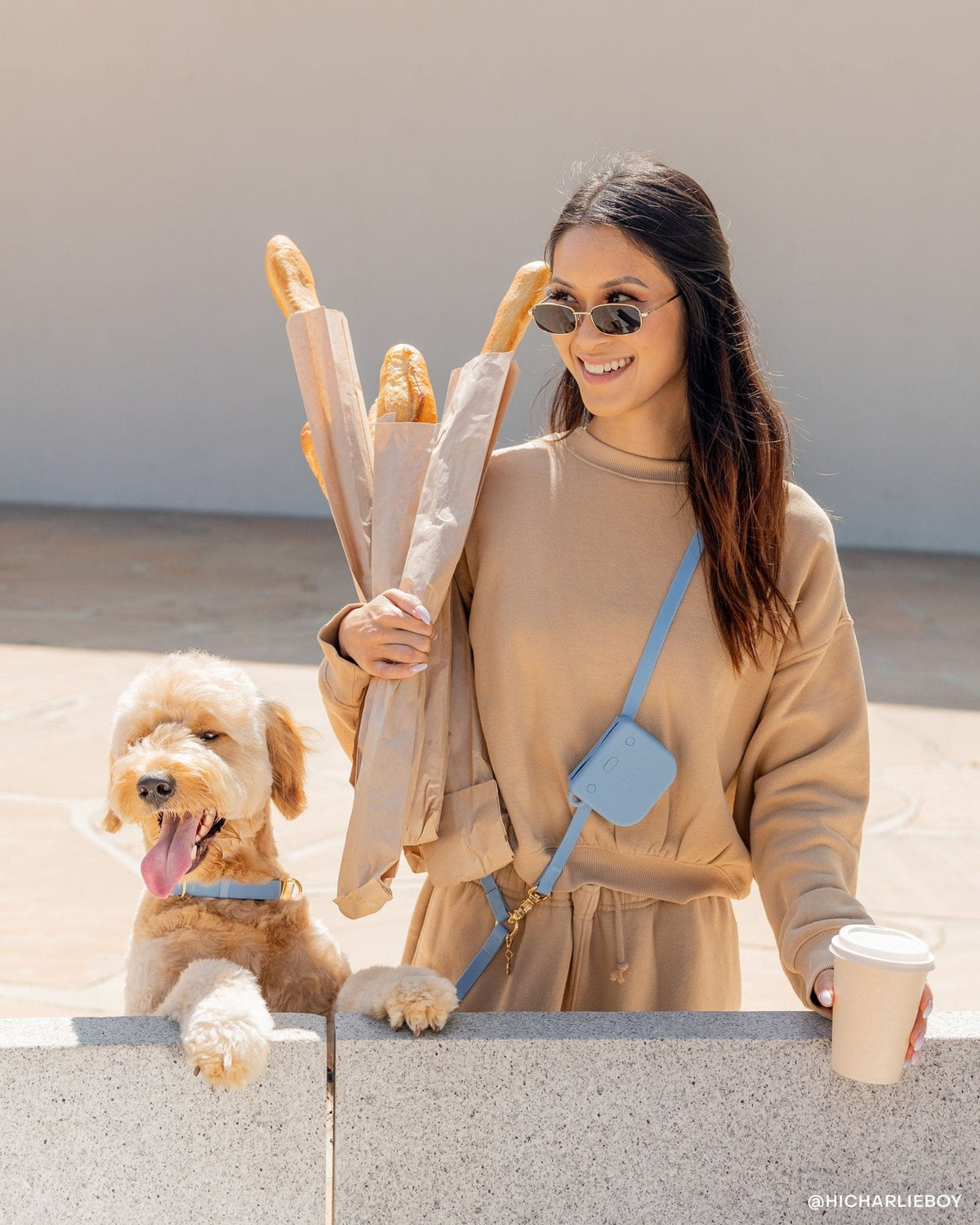 Hands Free Dog Leash product image 3
