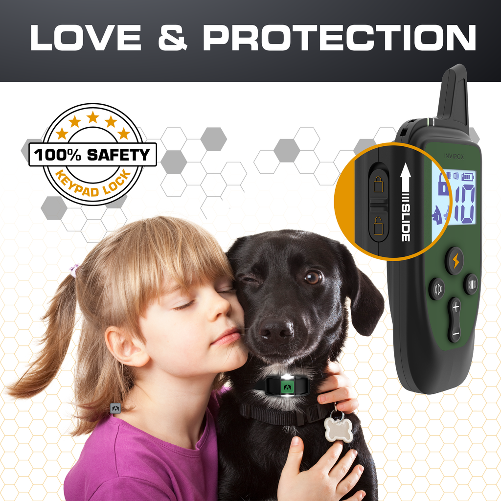 Dog Training Collar product image 4