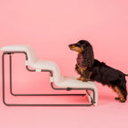 Pet Stairs product image 3