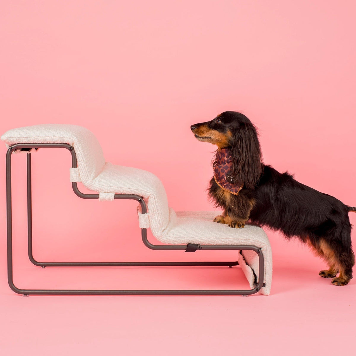 Pet Stairs product image 3