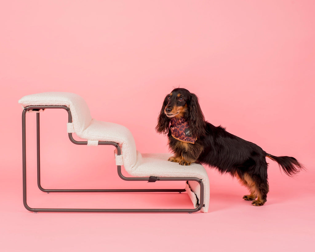 Pet Stairs product image 6