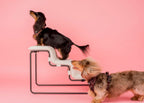 Pet Stairs product image 7