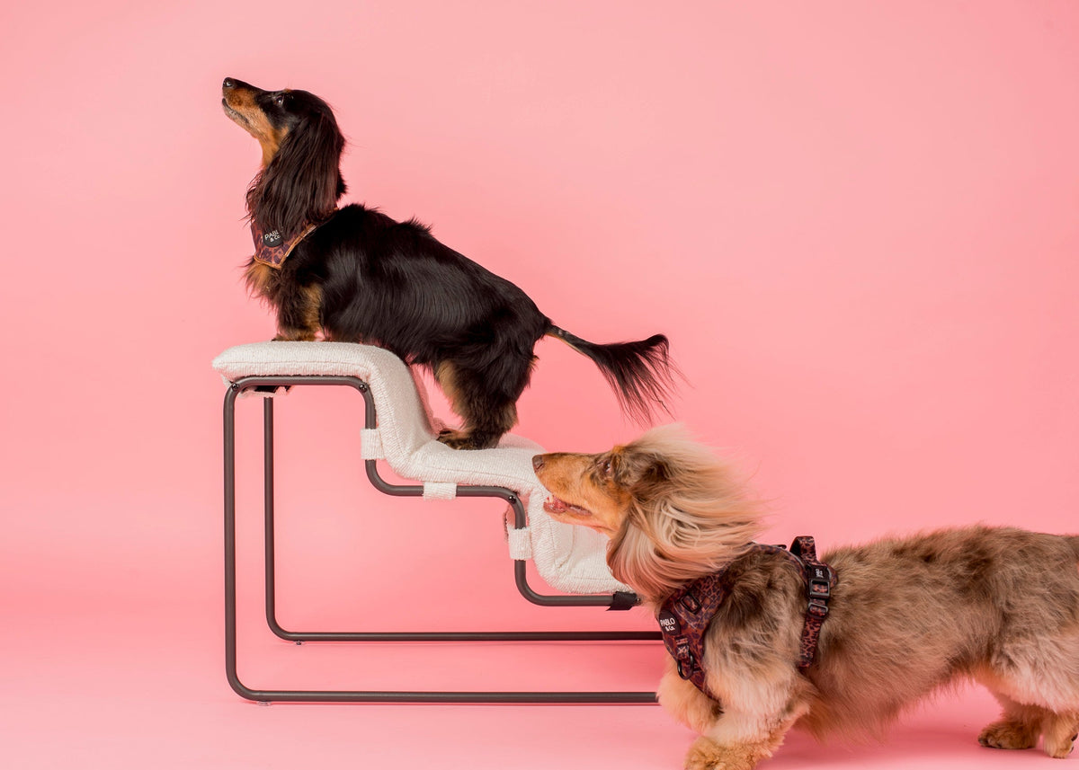Pet Stairs product image 7